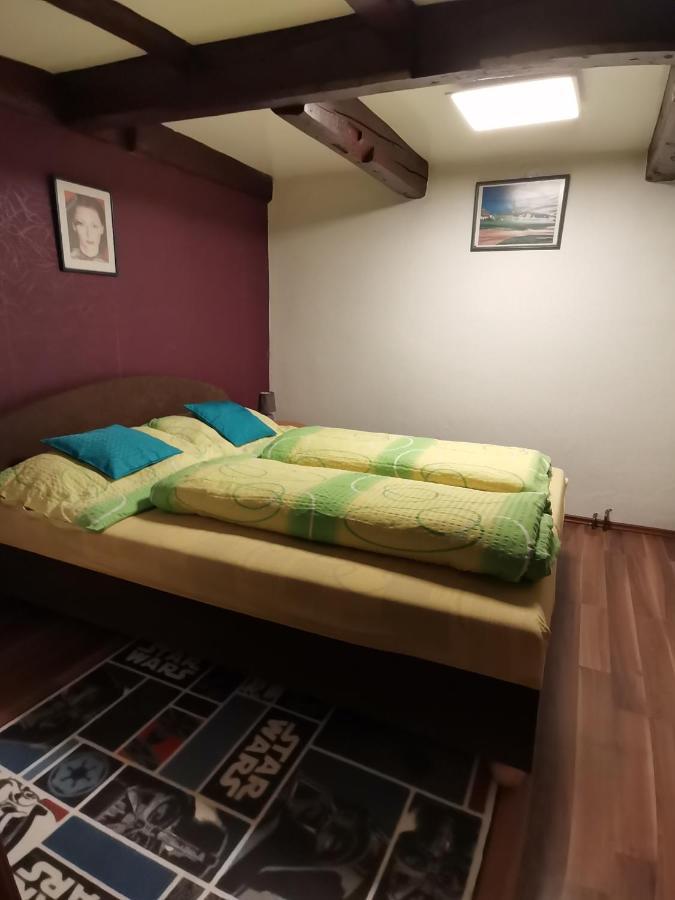 Ve Mlejne Apartment *